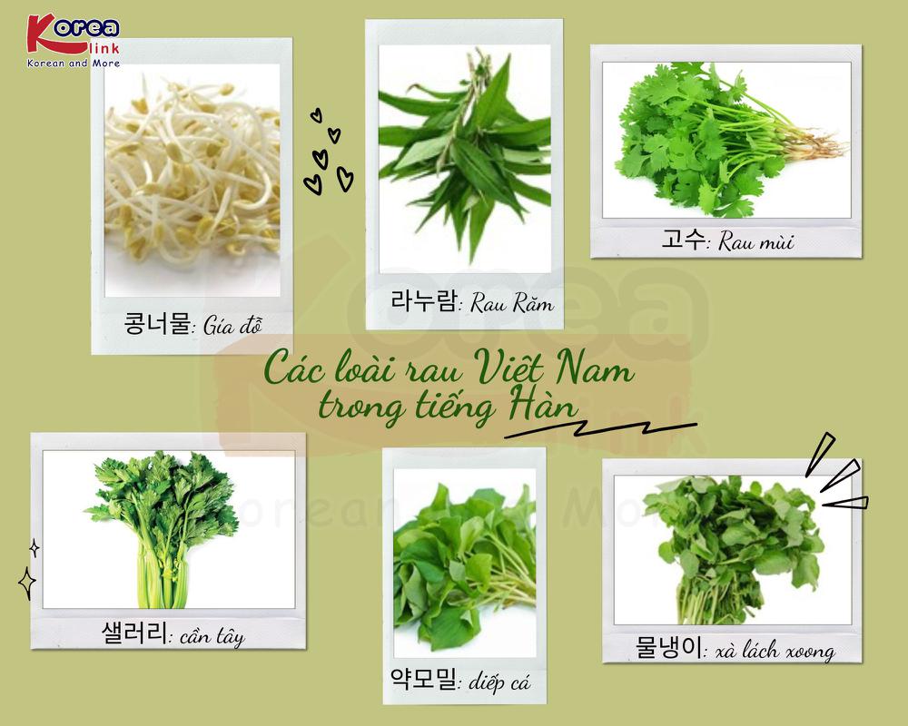 Từ vựng tiếng Hàn theo chủ đề: Các loại rau Việt Nam trong tiếng hàn
