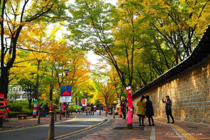 8 trải nghiệm thú vị khi ghé thăm Hàn Quốc mùa thu 