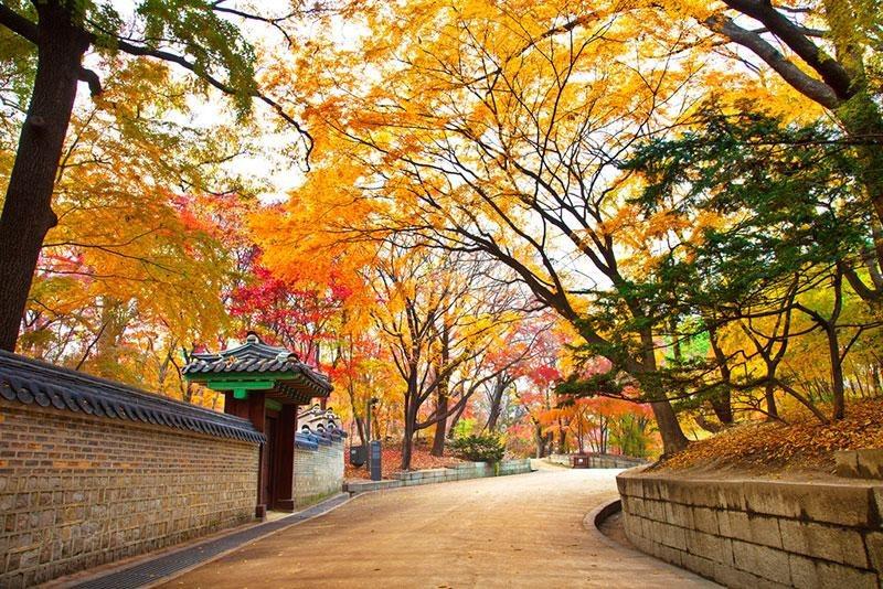 8 trải nghiệm thú vị khi ghé thăm Hàn Quốc mùa thu 