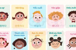 Từ vựng tiếng Hàn theo chủ đề: Cảm xúc tâm trạng (phần 2)