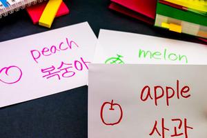 5 cách chinh phục từ vựng tiếng Hàn đơn giản mỗi ngày