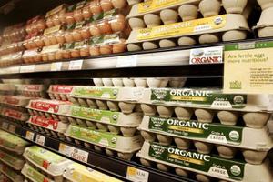 Giá trứng tại Hàn Quốc dự kiến tăng 68%