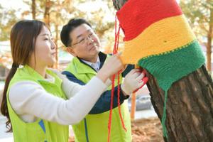 Tại sao người Hàn Quốc có văn hóa mặc áo mùa đông cho cây