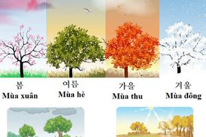 Từ vựng Tiếng Hàn theo chủ đề: Thời tiết