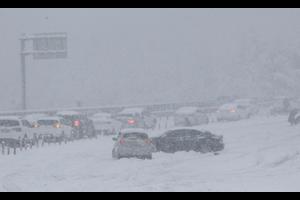 Hàng trăm ô tô bị mắc kẹt trên đường cao tốc ven biển vì tuyết rơi dày đặc