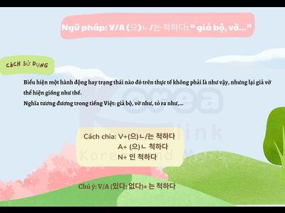 Ngữ pháp 49: V/A (으)ㄴ/는 척하다: “ giả bộ, vờ…”