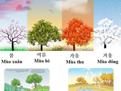 Từ vựng Tiếng Hàn theo chủ đề: Thời tiết