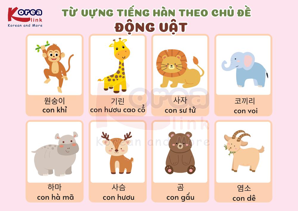 Từ vựng tiếng hàn theo chủ đề: Động vật