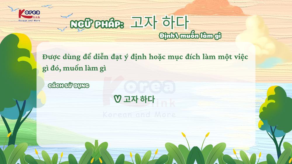 Ngữ pháp 102: 고자 하다