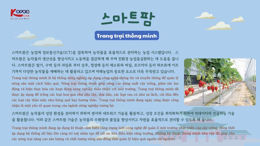 Thông tin văn hoá giáo trình EPS - TOPIK 2025 bài 45: 스마트팜