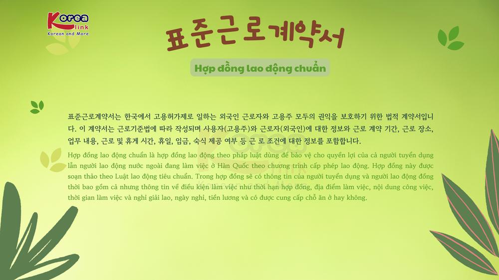 Thông tin văn hoá giáo trình EPS - TOPIK 2025 bài 58: 표준근로계약서
