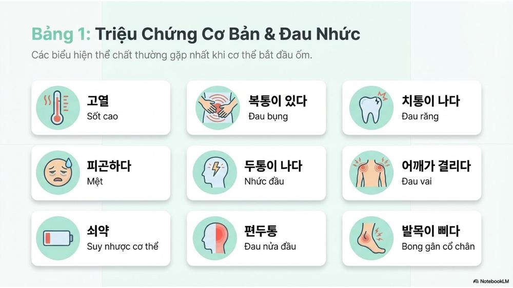 Từ vựng tiếng hàn theo chủ đề: Bệnh và triệu chứng