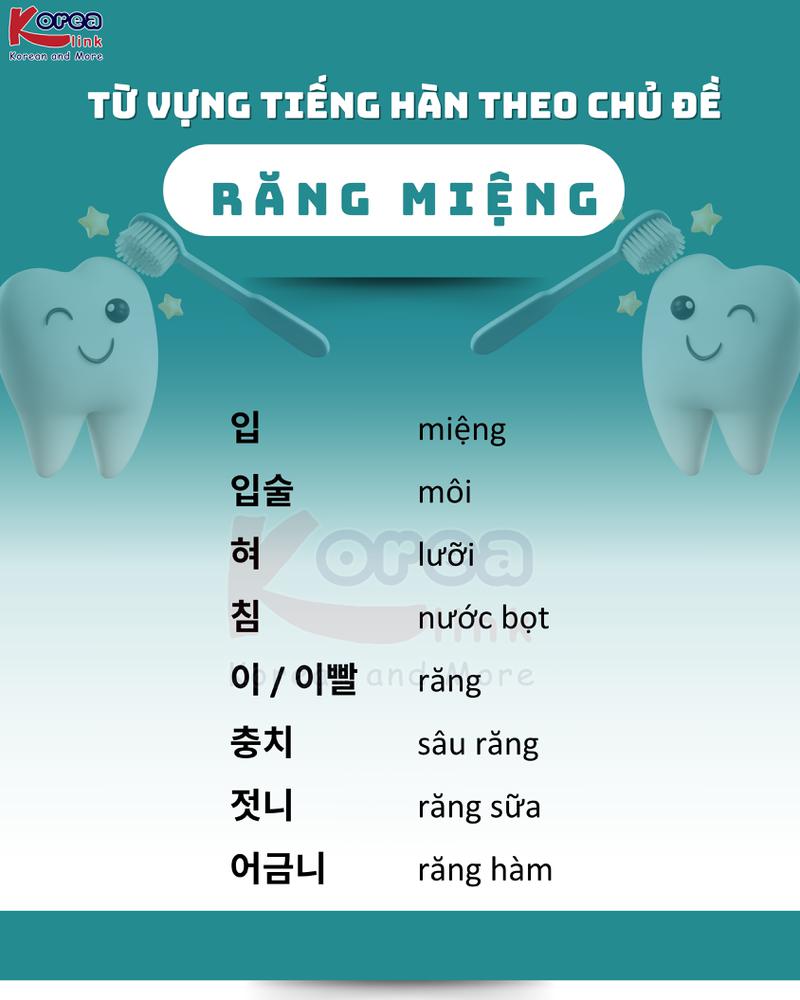 Từ vựng tiếng hàn theo chủ đề: Răng miệng