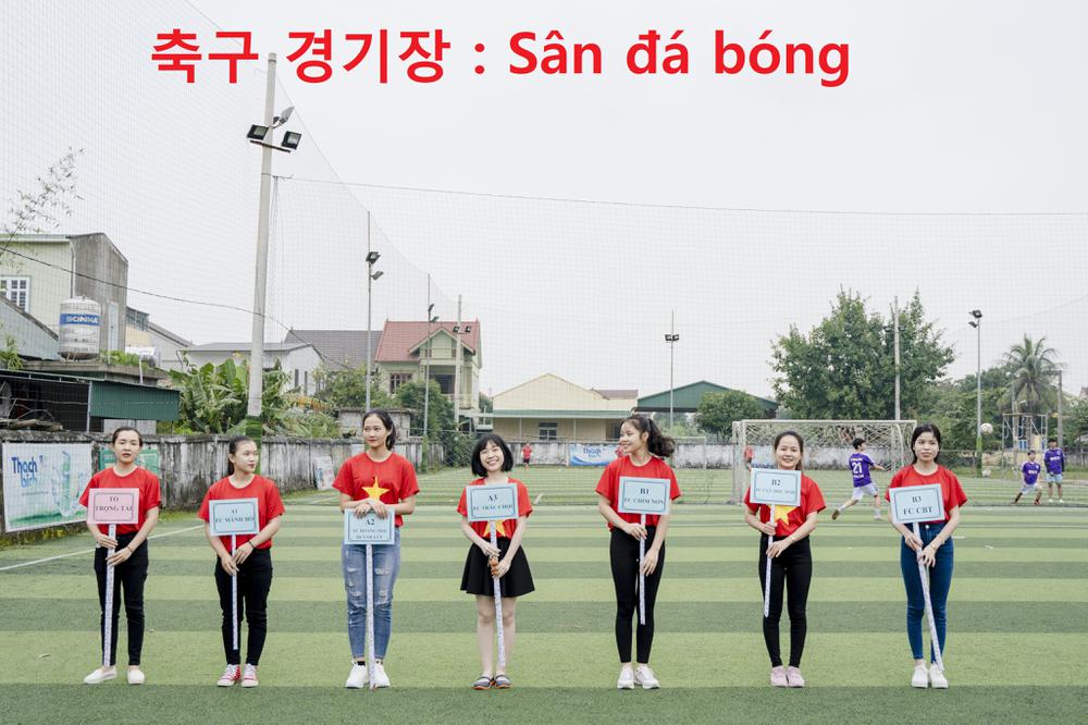 Từ vựng tiếng Hàn chủ đề bóng đá | Học tiếng Hàn tại Nghệ An cùng Korea Link