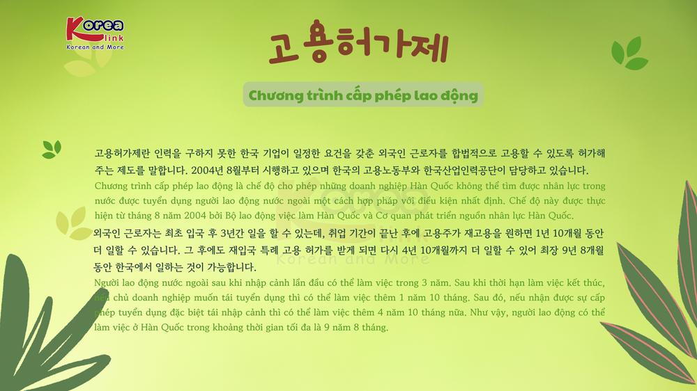 Thông tin văn hoá giáo trình EPS - TOPIK 2025 bài 57: 고용허가제