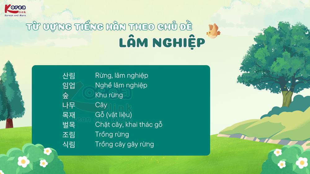 Từ vựng tiếng hàn theo chủ đề: lâm nghiệp
