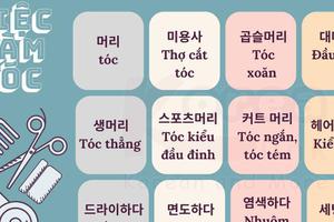 Từ vựng tiếng Hàn theo chủ đề: Việc làm tóc