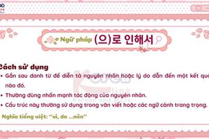 Ngữ pháp 150: (으)로 인해서