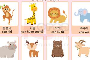 Từ vựng tiếng hàn theo chủ đề: Động vật
