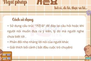 Ngữ pháp 110: 거든요