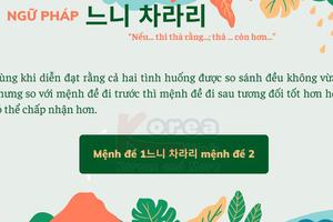 Ngữ pháp 128: 느니 차라리