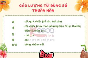 CÁC LƯỢNG TỪ DÙNG SỐ THUẦN HÀN