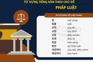 Từ vựng tiếng hàn theo chủ đề: Pháp luật
