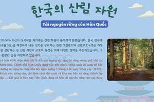Thông tin văn hoá giáo trình EPS - TOPIK 2025 bài 50: 한국의 산림 자원