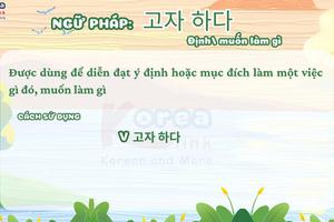 Ngữ pháp 102: 고자 하다