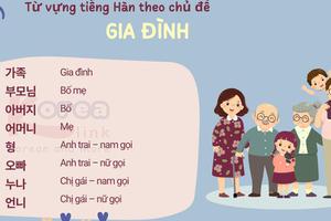 Từ vựng tiếng hàn theo chủ đề: Gia đình