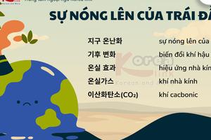 Từ vựng tiếng hàn theo chủ đề: Sự nóng lên của Trái đất