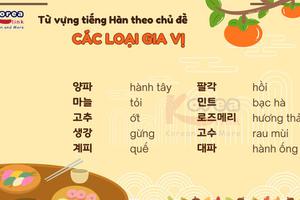 Từ vựng tiếng hàn theo chủ đề: Các loại gia vị
