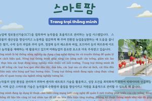Thông tin văn hoá giáo trình EPS - TOPIK 2025 bài 45: 스마트팜