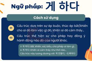 Ngữ pháp 112: 게 하다