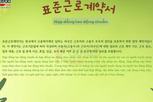 Thông tin văn hoá giáo trình EPS - TOPIK 2025 bài 58: 표준근로계약서
