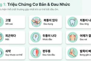 Từ vựng tiếng hàn theo chủ đề: Bệnh và triệu chứng
