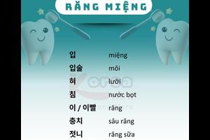 Từ vựng tiếng hàn theo chủ đề: Răng miệng