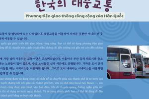 Thông tin văn hoá giáo trình EPS - TOPIK 2025 bài 12: 한국의 대중교통