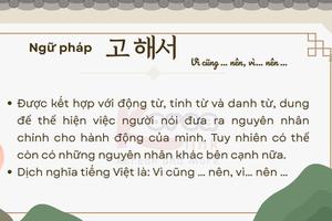 Ngữ pháp 126: 고 해서
