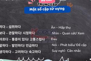 Cặp từ vựng sơ cấp - trung cấp(phần 1)