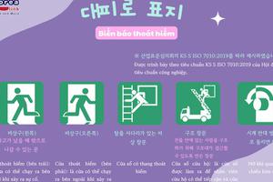 Thông tin văn hoá giáo trình EPS - TOPIK 2025 bài 54: 대피로 표지