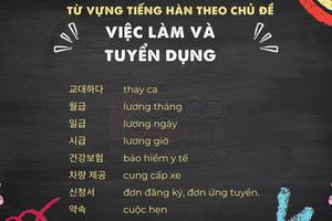 Từ vựng tiếng hàn theo chủ đề: Việc làm và tuyển dụng