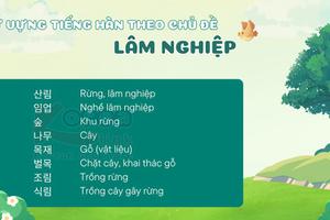Từ vựng tiếng hàn theo chủ đề: lâm nghiệp