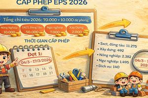 KẾ HOẠCH CẤP PHÉP LAO ĐỘNG ĐỢT 1 NĂM 2026