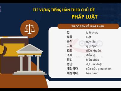 Từ vựng tiếng hàn theo chủ đề: Pháp luật