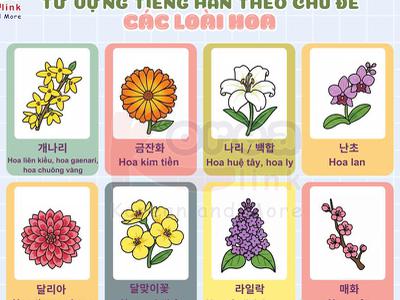 Từ vựng tiếng hàn theo chủ đề: Các loài hoa