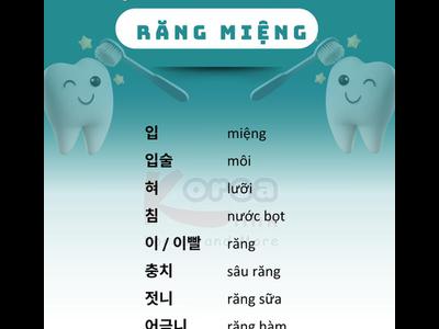 Từ vựng tiếng hàn theo chủ đề: Răng miệng