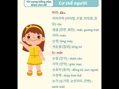 Từ vựng tiếng hàn theo chủ đề: Cơ thể người...