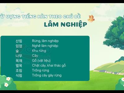 Từ vựng tiếng hàn theo chủ đề: lâm nghiệp